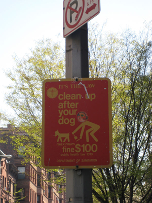 clean up after your dog fine